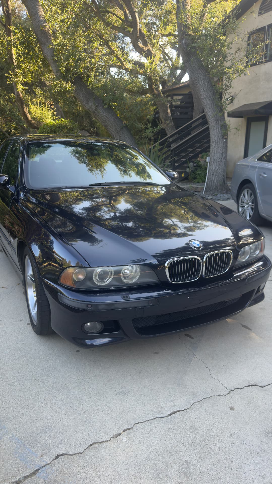 Black BMW 5 Series shining after exterior detail